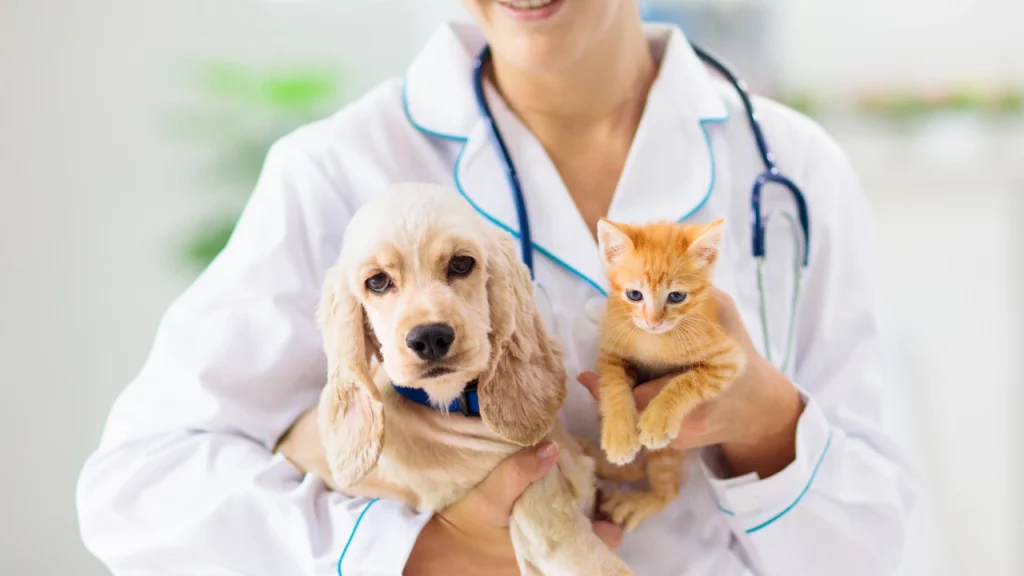 The Advantages of Providing Educational Resources for Pet Owners in Your Veterinary Business